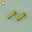 Solid aluminum rivet 3 * 12 * 6